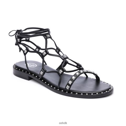 paloma gladiator sandal sort Kvinder 2R26T82 ASH sandaler