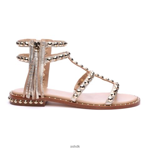 power metallic flad sandal med kvaster med nitter lys guld Kvinder 2R26T53 ASH sandaler