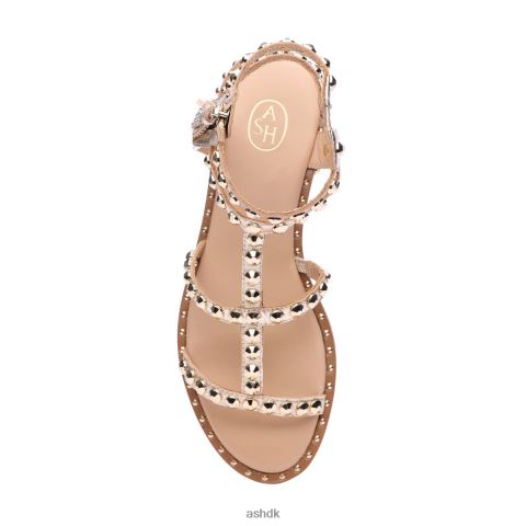 power metallic flad sandal med kvaster med nitter lys guld Kvinder 2R26T53 ASH sandaler