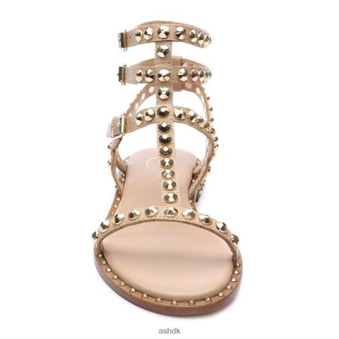 spille flad sandal med nitter hud/guld Kvinder 2R26T56 ASH sandaler