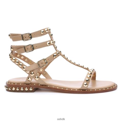 spille flad sandal med nitter hud/guld Kvinder 2R26T56 ASH sandaler