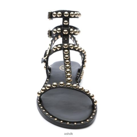 spille flad sandal med nitter sort guld Kvinder 2R26T55 ASH sandaler