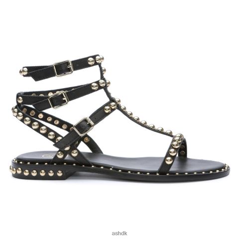 spille flad sandal med nitter sort guld Kvinder 2R26T55 ASH sandaler