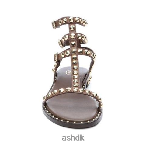 spille flad sandal med nitter tmoro Kvinder 2R26T54 ASH sandaler