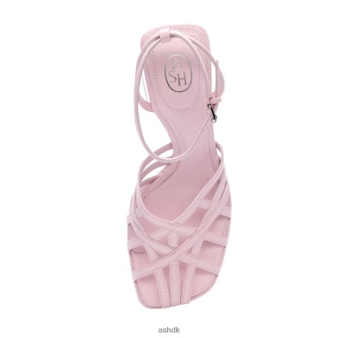 vidunder bur strappy platform kjole sandal krystal rose Kvinder 2R26T74 ASH sandaler