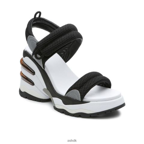 cosmos platform kile sandal sort/sølv Kvinder 2R26T35 ASH sandaler