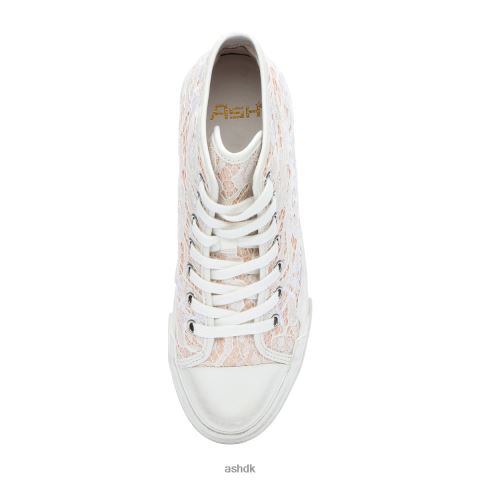 højtop sneaker med bløde blonder pinksalt Kvinder 2R26T26 ASH sneakers
