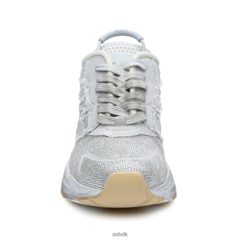 race strass glitter mode sneaker sølv Kvinder 2R26T11 ASH sneakers